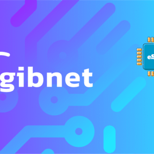 Gibnet 1 GB - 7 Days